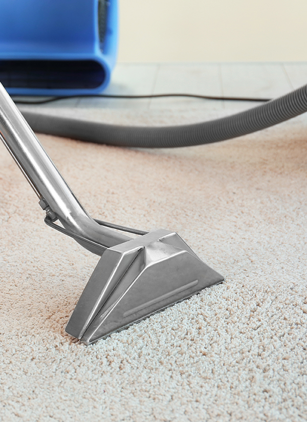 home-carpet-cleaning