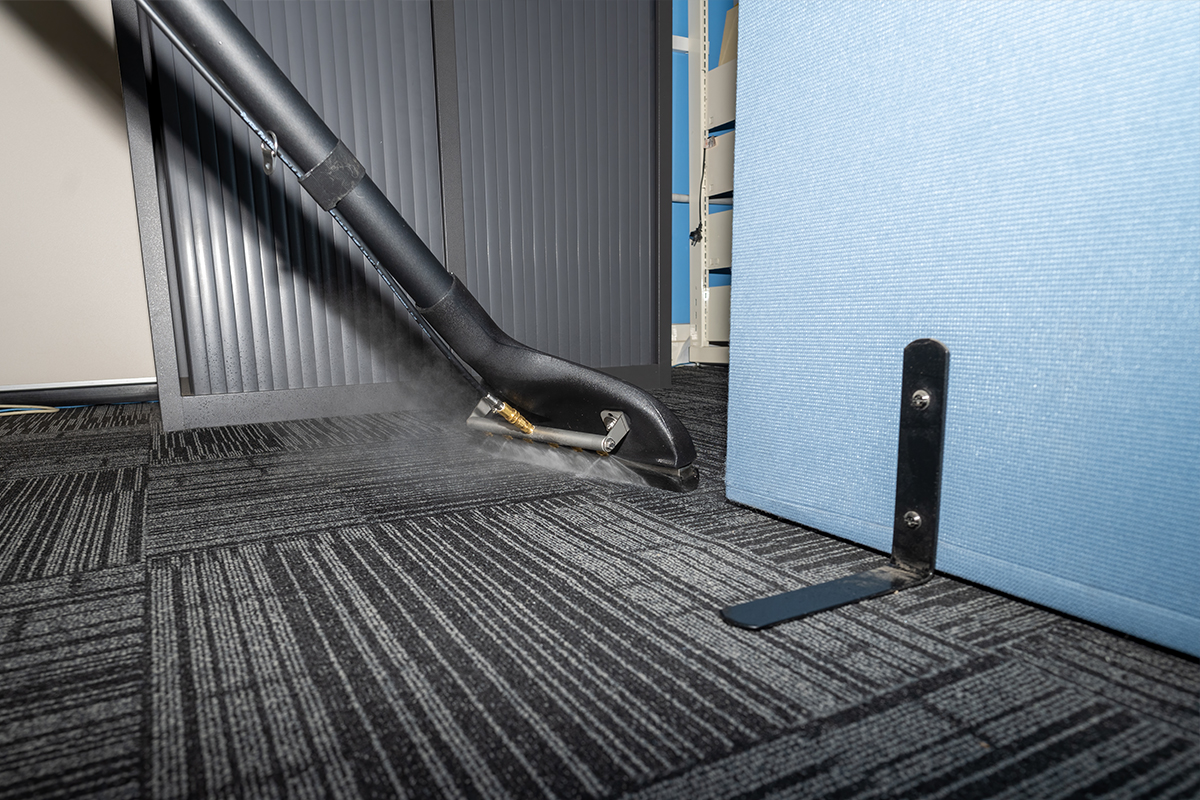 service-carpet-cleaning